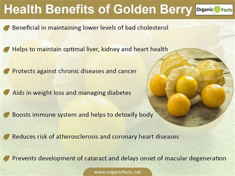 Dialysis Education (With images) | Gooseberry benefits