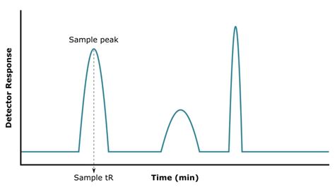 Gas Chromatography: How It Works and 5 Critical Components