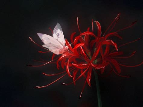 음믕이🚮 on Twitter | Red spider lily, Anime scenery wallpaper, Anime scenery