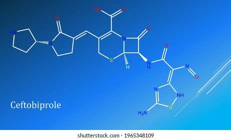 Ceftobiprole Fifthgeneration Cephalosporin Treatment Hospitalacquired ...