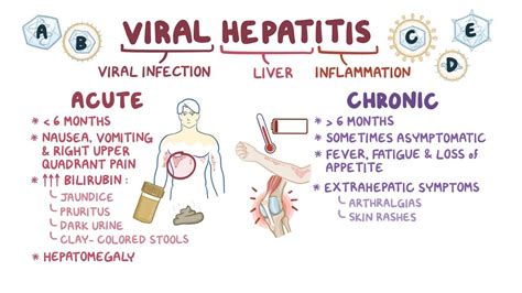 Viral hepatitis: Clinical: Video, Anatomy & Definition | Osmosis