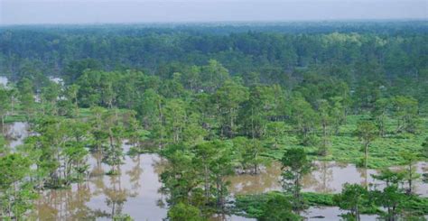 Atchafalaya National Heritage Area