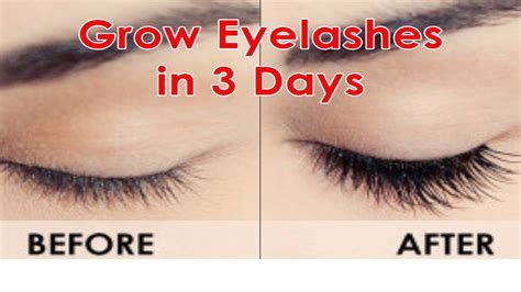 How to grow LONG EYELASHES FAST | Guaranteed RESULTS in 3 days ...