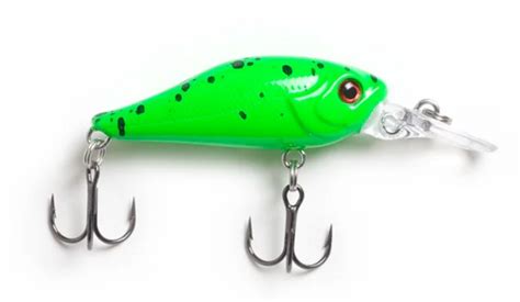 7 Trout Lures You Can Rely On All Year