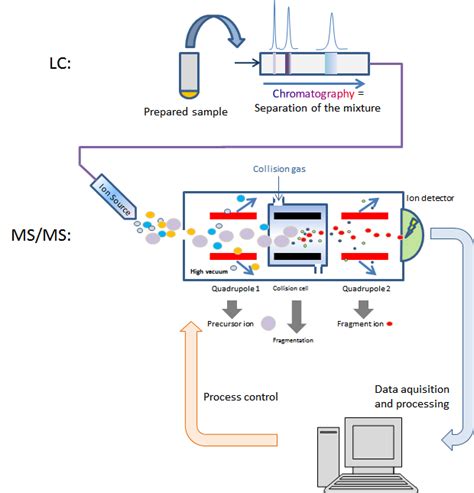 Mass Spectrometry Cartoon