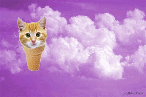 flying cats gifs | WiffleGif