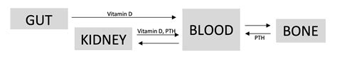 Interpretation of urea and electrolytes | OSCEstop | OSCE Learning