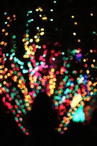 Christmas Lights at Bellingrath Gardens, Alabama - The Wherever Writer