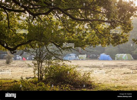 New forest camping Stock Photo - Alamy