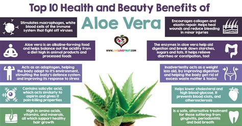 Aloe Vera Reduces Toxins in the Gut, Maintains Good Oral Health, and ...