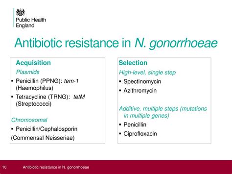 PPT - Antibiotic resistance in Neisseria gonorrhoeae PowerPoint ...