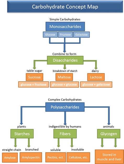 Carbohydrate Diagram Structure