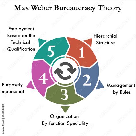 Five Steps of Max weber Bureaucracy theory in an Infographic template ...