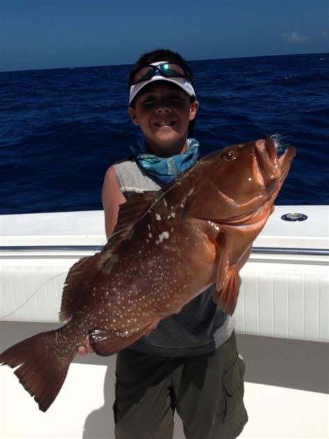 Red Grouper Fishing in the Florida Keys