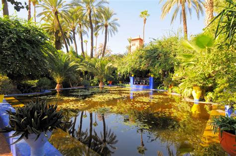 Jardin Majorelle - Marrakech, Morocco – CELLOPHANELAND*