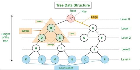 Data Structures: A Brief Review for Beginners