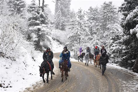 Shimla witnesses season’s first snowfall - The Statesman