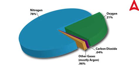 Components of Air and Their Percentages, Diagram