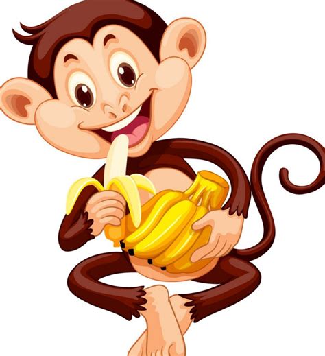 monkey - News