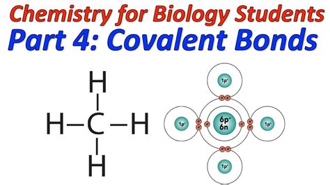 13+ Covalent Bond Diagram | Robhosking Diagram