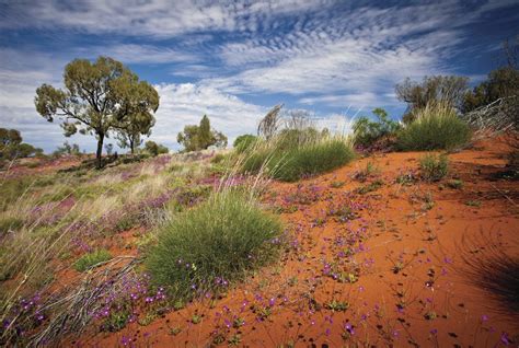 Australian Outback Self-Drive Tour- 18 Days | kimkim