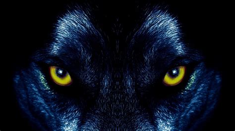 Wolf Eyes Wallpapers - Top Free Wolf Eyes Backgrounds - WallpaperAccess