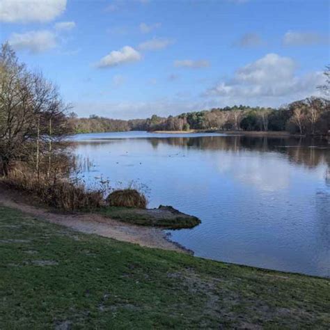 A visit to Virginia Water Lake, Surrey - Chimptrips