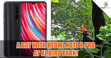 Our Redmi Note 8 Pro camera hands-on experience at the KL Bird Park ...