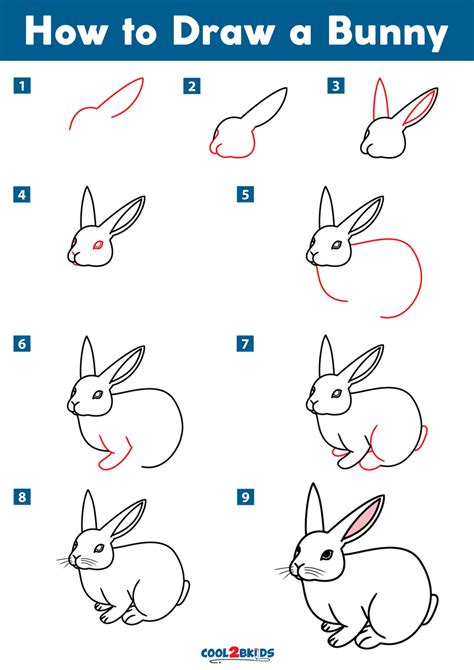 How to Draw a Bunny - Cool2bKids