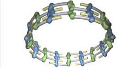 Video: Inner Circle | The Scientist Magazine®