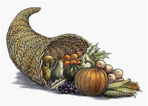 Thanksgiving: Cornucopia Photograph by Granger