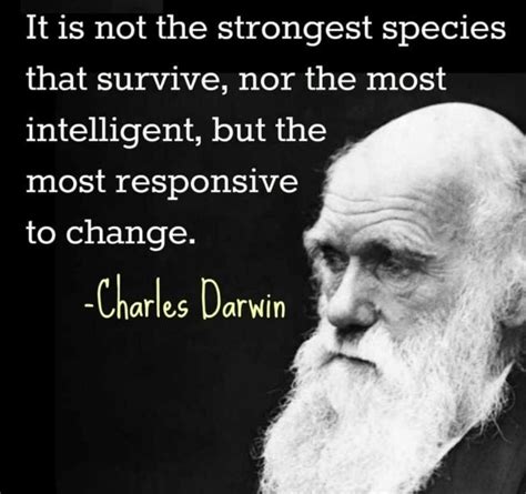 Best 46 Charles Darwin Quotes - NSF News and Magazine