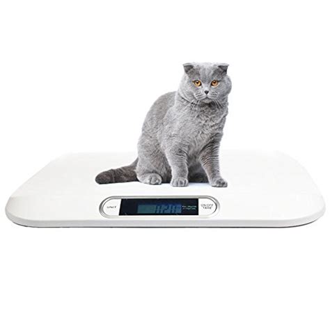 Best Pet Scale For Cats