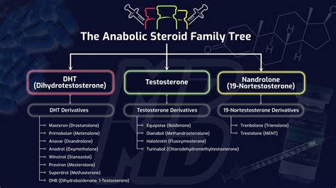 The Anabolic Steroid Family Tree - How Different Steroids Impact Muscle ...