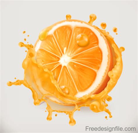 Orange juice splash vector illustration free download