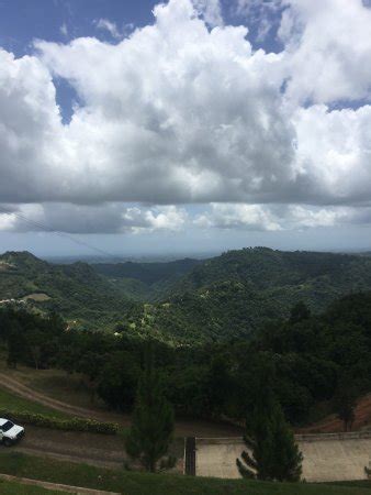 Zipline Tours in Puerto Rico (Orocovis) - 2021 All You Need to Know ...