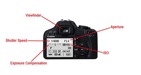 Understanding Your Camera's Settings: There's More To Taking Pictures ...