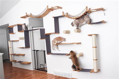 Designing Your Cat Wall | DIY Cat Wall Ideas | Cat wall furniture, Cat ...