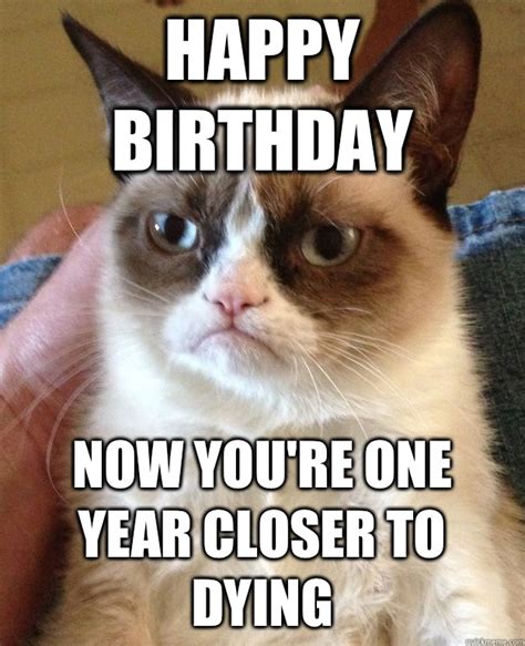 Happy Birthday Cat Meme - Cat Planet | Cat Planet