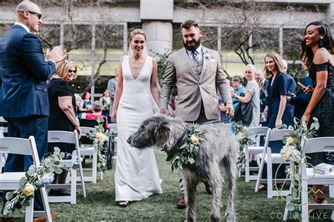 EAGLES JASON KELCE GETS MARRIED: HUNGRY DOG STOLE THE SHOW! | Fast ...