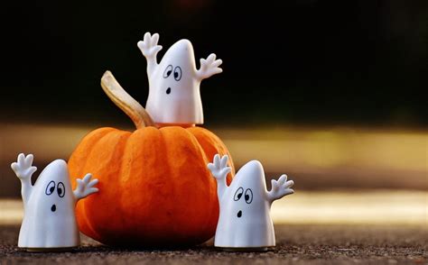 Halloween : 6 idées de sorties ce week-end dans le pays de Châteaubriant