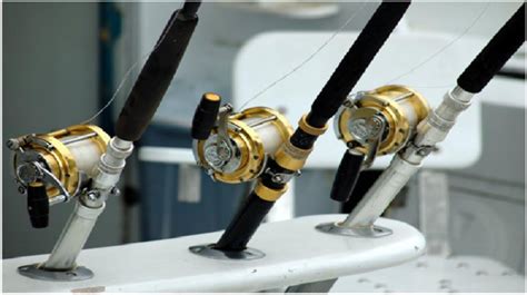 7 Fishing Rod Brands for Freshwater Fishing | News For Public