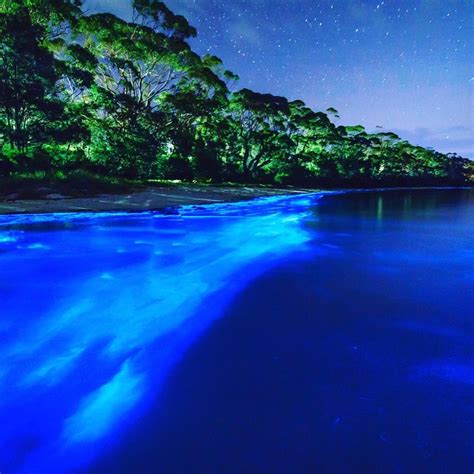 Bioluminescent Bay, Vieques, Puerto Rico...also known as Mosquito Bay ...