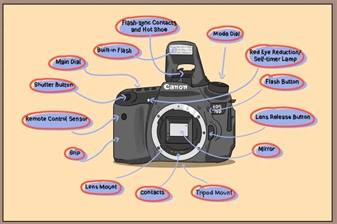 Learn The Parts Of A Camera | Simple Guide