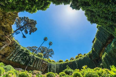 The Australian sinkhole that's been turned into a secret garden ...