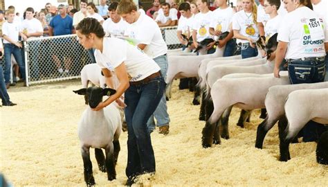 Iowa State Fair livestock barns to see $25 million renovation