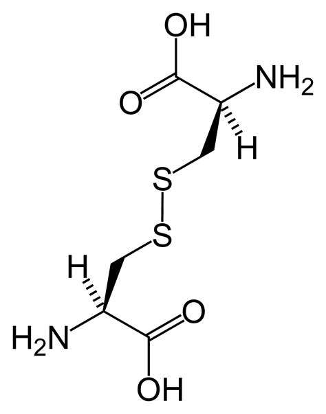 Cystinuria - wikidoc