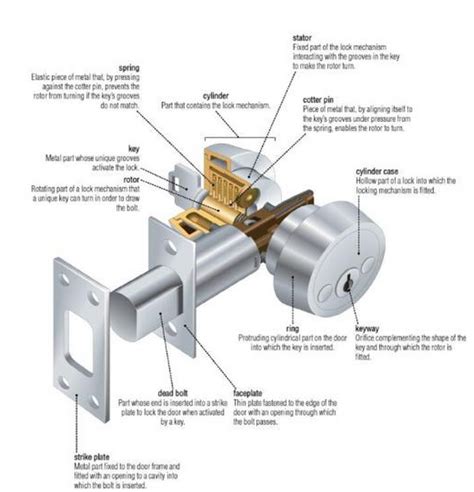 What's in a door lock? | Door locks, Anatomy, Doors