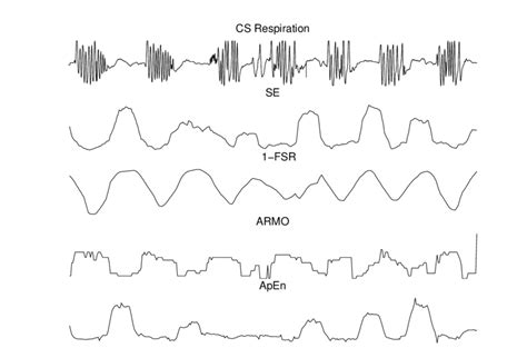 Complexity measures during Cheyne-Stokes Respiration movements ...