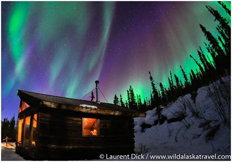 Northern Lights Tour Photos - Wild Alaska Travel